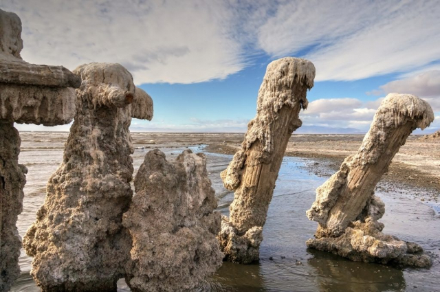 Bombay Beach Salted Pilings 4